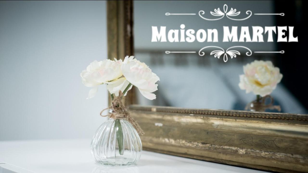 Maison Martel Nimes Centre Climatise Buitenkant foto